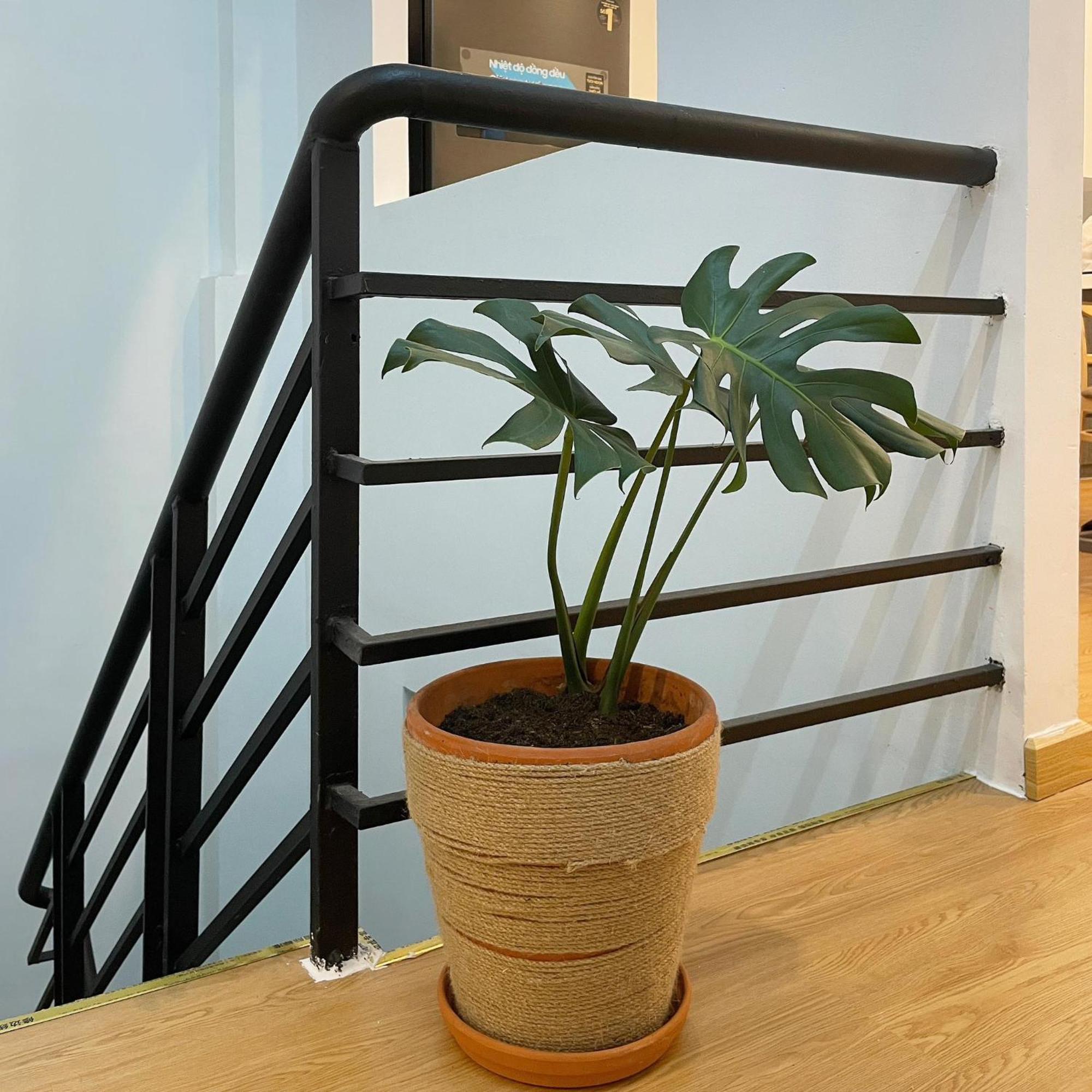 Alphabet Home Capsule 호치민 외부 사진
